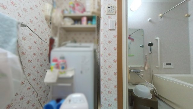 サントノーレ観月の脱衣所