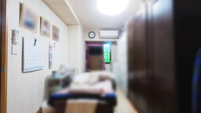 サントノーレ観月の洋室