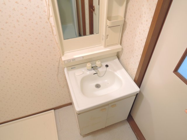 ハイツニシタニの洗面所