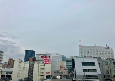 【展望】 | ザパークハウス相模大野(ザパークハウスサガミオオノ)