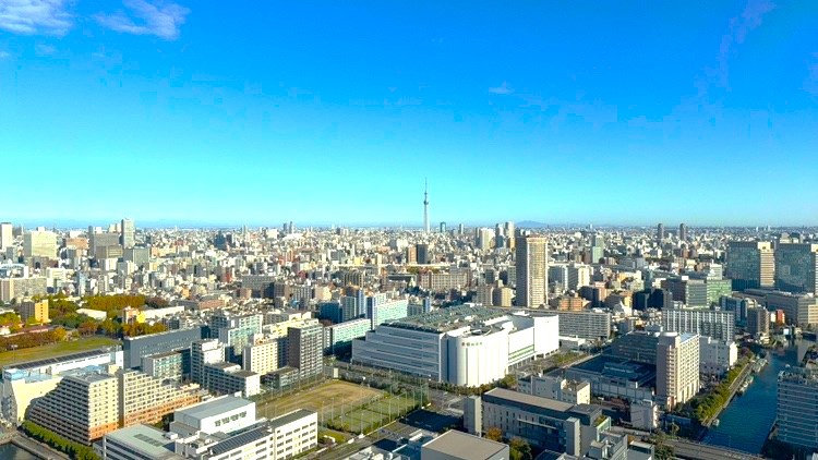 シティタワーズ豊洲ザ・シンボルの展望
