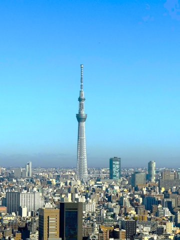 シティタワーズ豊洲ザ・シンボルの展望