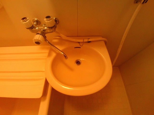 メゾンフレールの洗面所