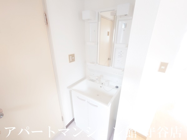 ハイネスハイムBの独立洗面台