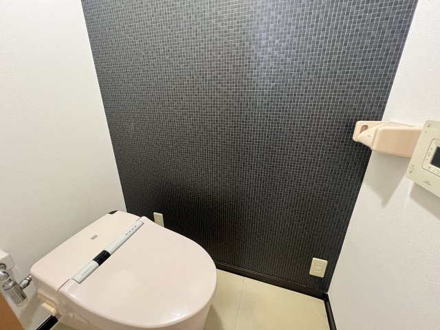 サウナ×ルーバルあります！整いリフォーム【保土ヶ谷区峰岡町】中古戸建のトイレ|トイレも気になるポイント