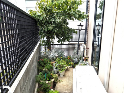 【庭】 | 久が原4丁目戸建 | お庭も活用できます