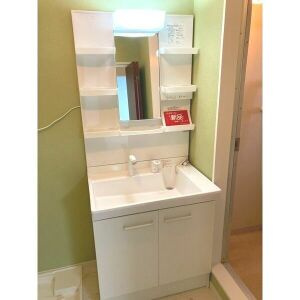 ハイツシラサワの洗面所