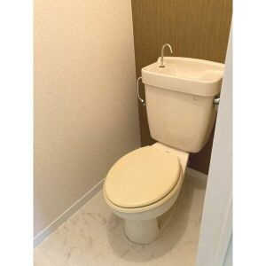 ハイツシラサワのトイレ