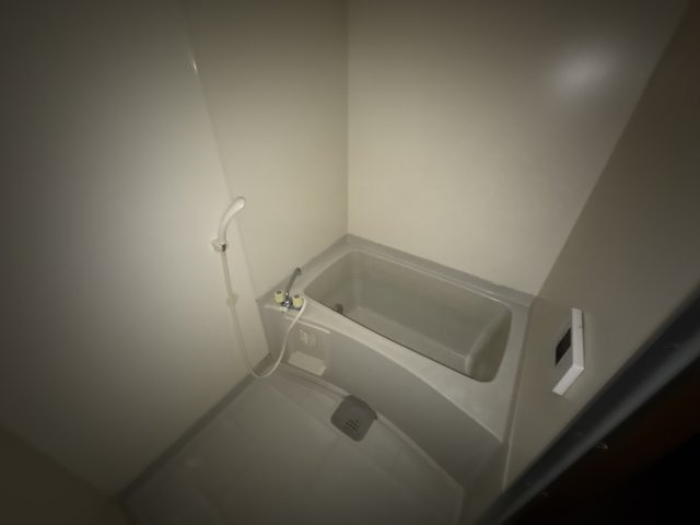 グリーンコスモ田井の浴室