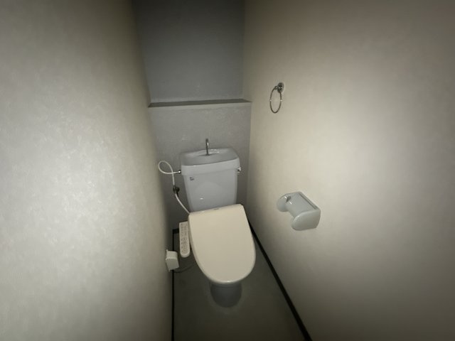 グリーンコスモ田井のトイレ