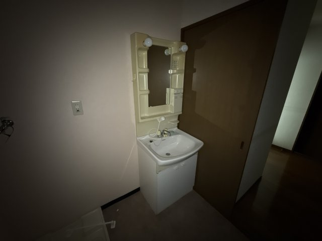 グリーンコスモ田井の洗面所