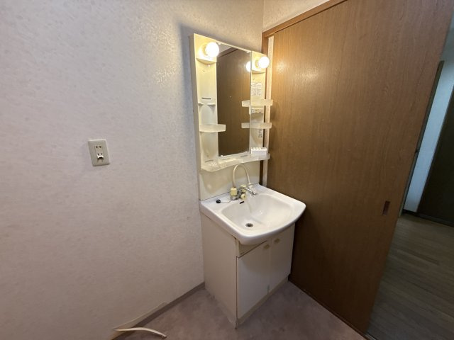 グリーンコスモ田井の洗面所
