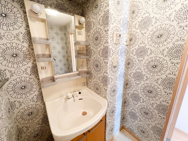 ビレッジ北久保 C棟の洗面所