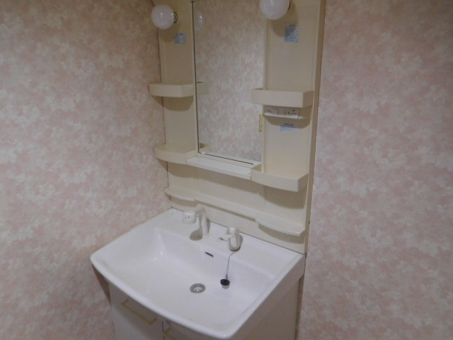 コーポ東延末の洗面所