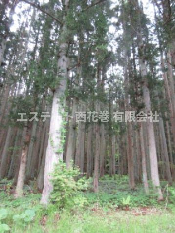 湯口佐野　土地建物の周辺|裏は山になります。