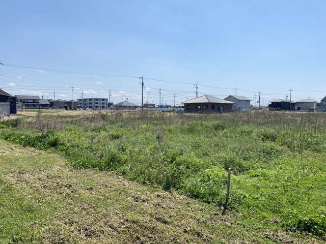 【その他】 | 金田西売地