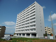 feliciaうさぎの画像