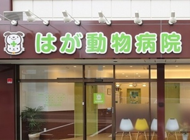 キュロコ玉川学園　東棟のその他|はが動物病院
