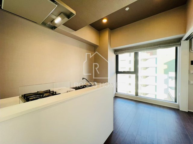 ブエナビスタ難波サウスタワーの居間・リビング