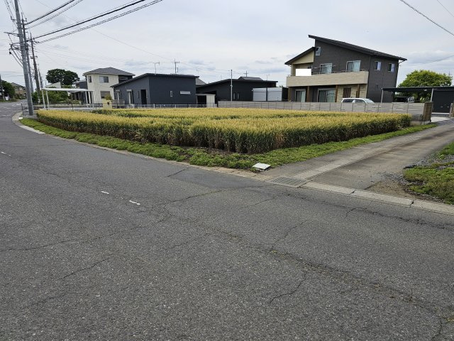 飯島売地