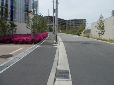 【周辺】 | ロジュマン千里中央 | 前面道路