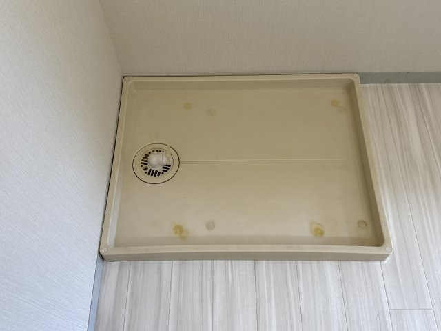 アルファ・アネックスのその他