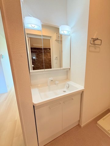 リヨンの洗面所