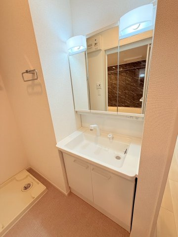 リヨンの洗面所