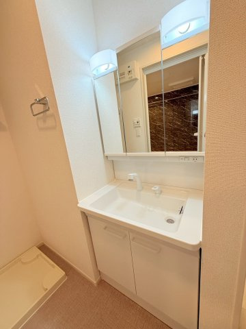 リヨンの洗面所