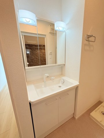 リヨンの洗面所