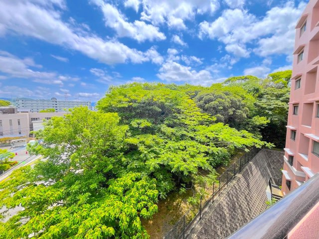 アプローズ香住ヶ丘弐番館の展望