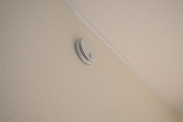 《仲介手数料無料》南区大字大谷口791-15(全1戸)新築一戸建てハートフルタウンのその他|撮影日 2025年10月30日 15:15 晴れ