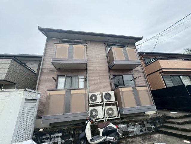 セジュール弦の外観