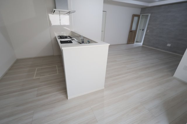 【キッチン】 | 《仲介手数料無料》南区四谷１丁目1-10(全1戸)新築一戸建てLIGARE | 撮影日 2025年9月21日 10:30 晴れ