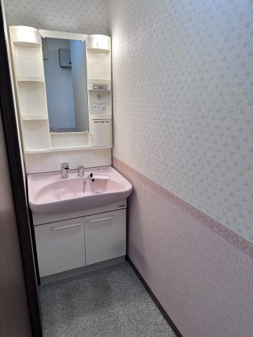 和泉市王子町戸建の独立洗面台