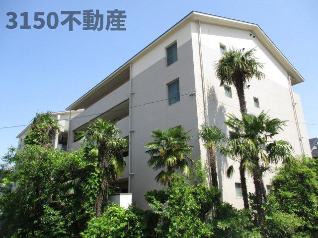 アクセス11の展望