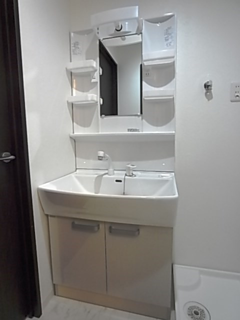 ワコーレヴィータ大開ステーシアの洗面所