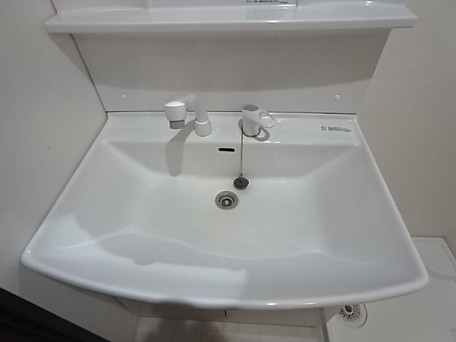 ワコーレヴィータ大開ステーシアの洗面所