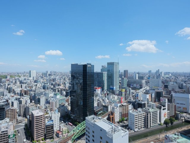 ワテラスタワーレジデンスの展望