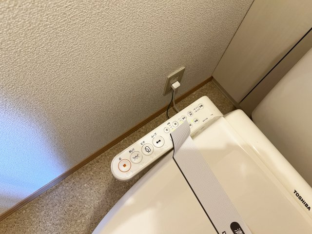 ウエスト孕のその他