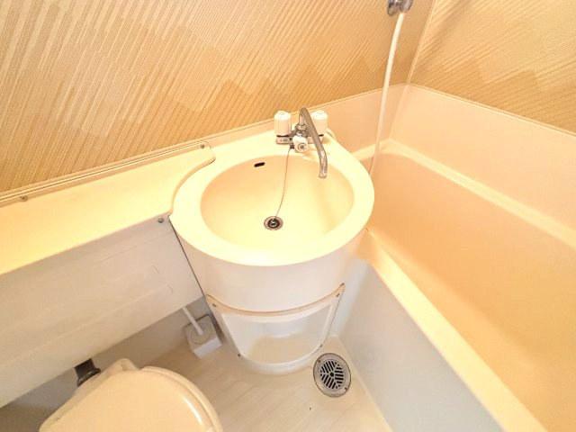 スタビラの洗面所