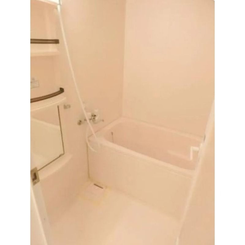 フレア浦安の浴室