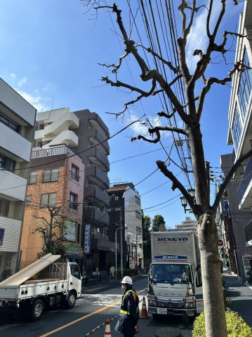 ラサンテ文京千駄木の周辺