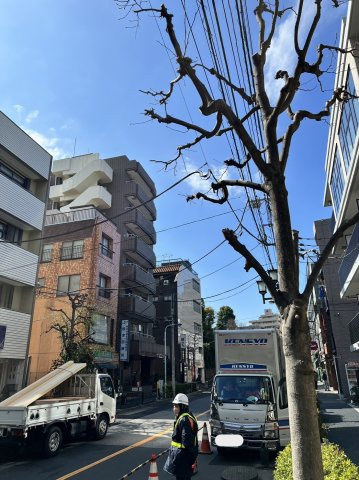 ラサンテ文京千駄木の周辺