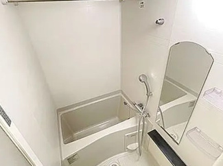【浴室】 | プレサンスOSAKA　DOMECITYスクエア | きれいなお風呂です