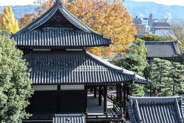 ◆２０２４年１２月室内リノベーション済みの美室◆収納充実◆京都上京ハウス３号棟の展望|バルコニーからの眺望(浄福寺)