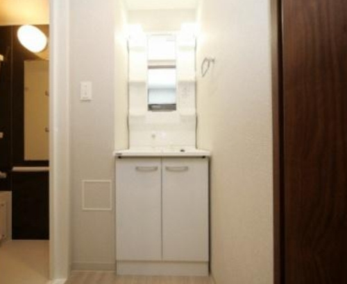 ArtizA淡路の洗面所