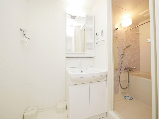 S-RESIDENCE南堀江の独立洗面台
