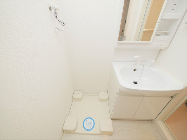 S-RESIDENCE南堀江の洗面所