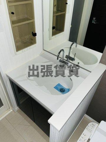 プライムアーバン泉の洗面所